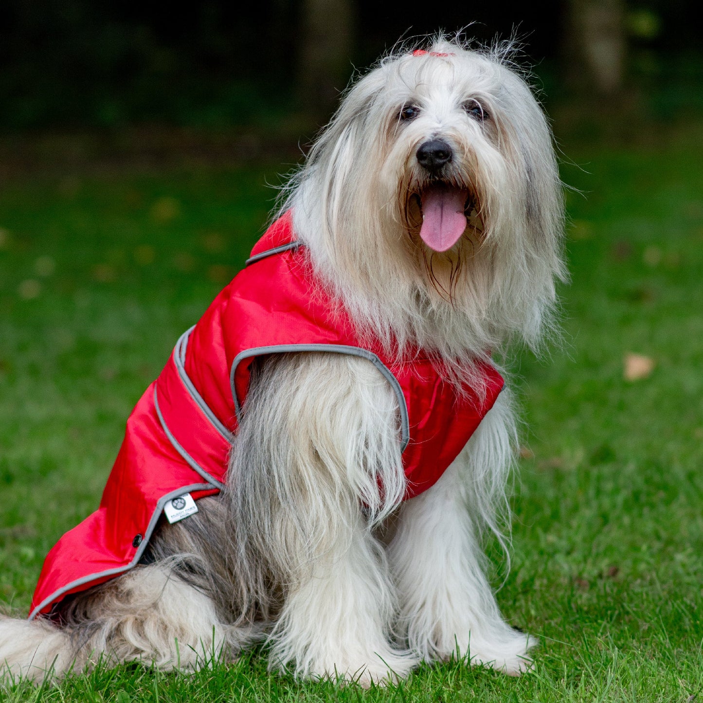 Stormguard Dog Coat Red