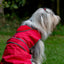 Stormguard Dog Coat Red