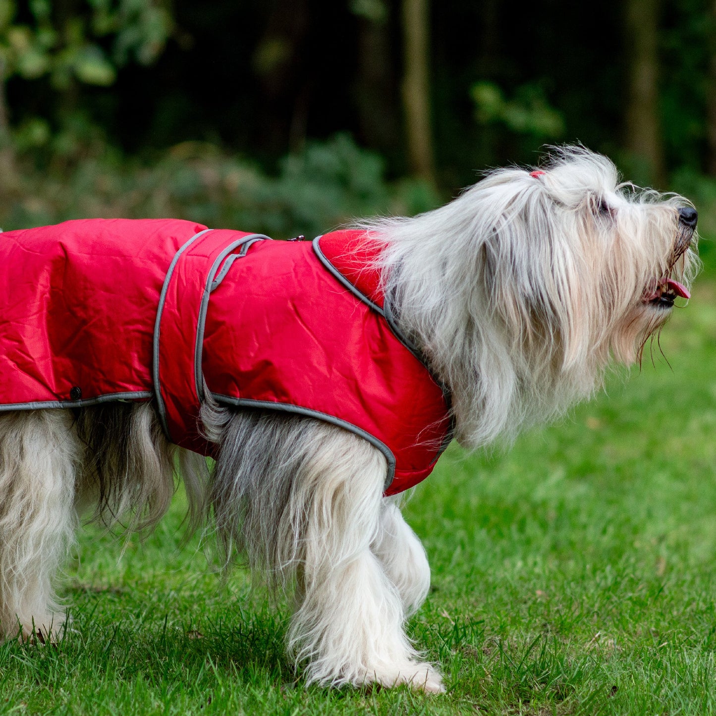 Stormguard Dog Coat Red