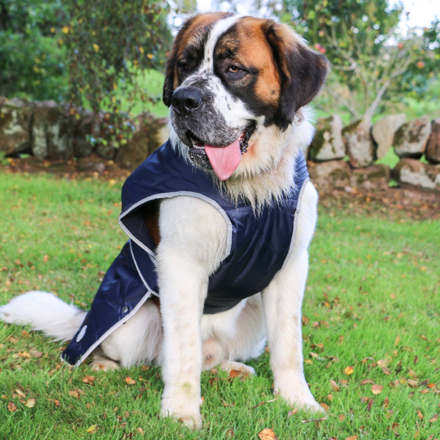 Stormguard Dog Coat Navy