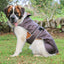 Stormguard Dog Coat Chocolate