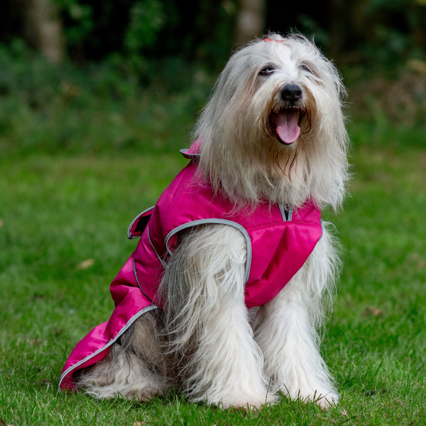 Stormguard Dog Coat Pink