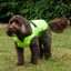 Stormguard Dog Coat Hi-Vis