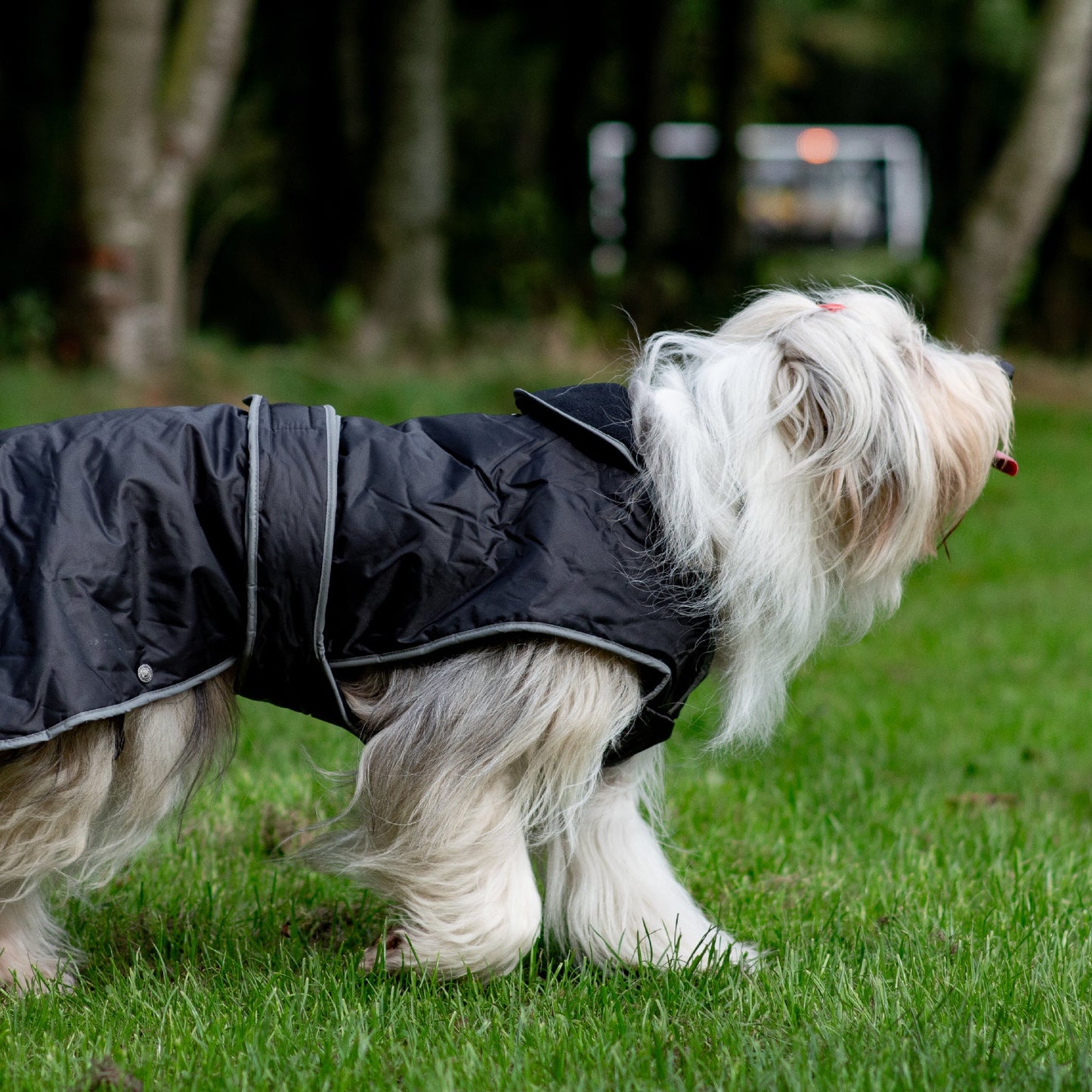 Stormguard Dog Coat Black