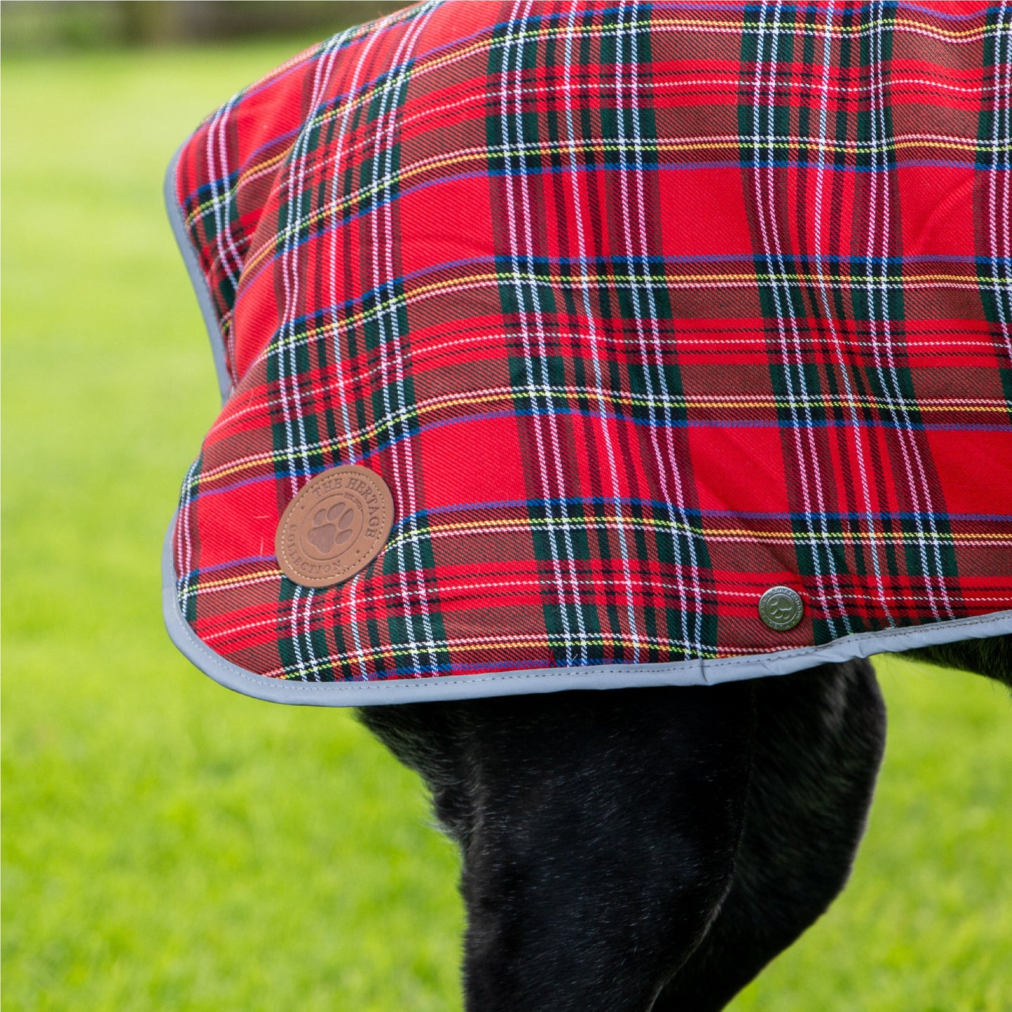 Ancol Heritage Red Tartan Dog Coat Dog Coat