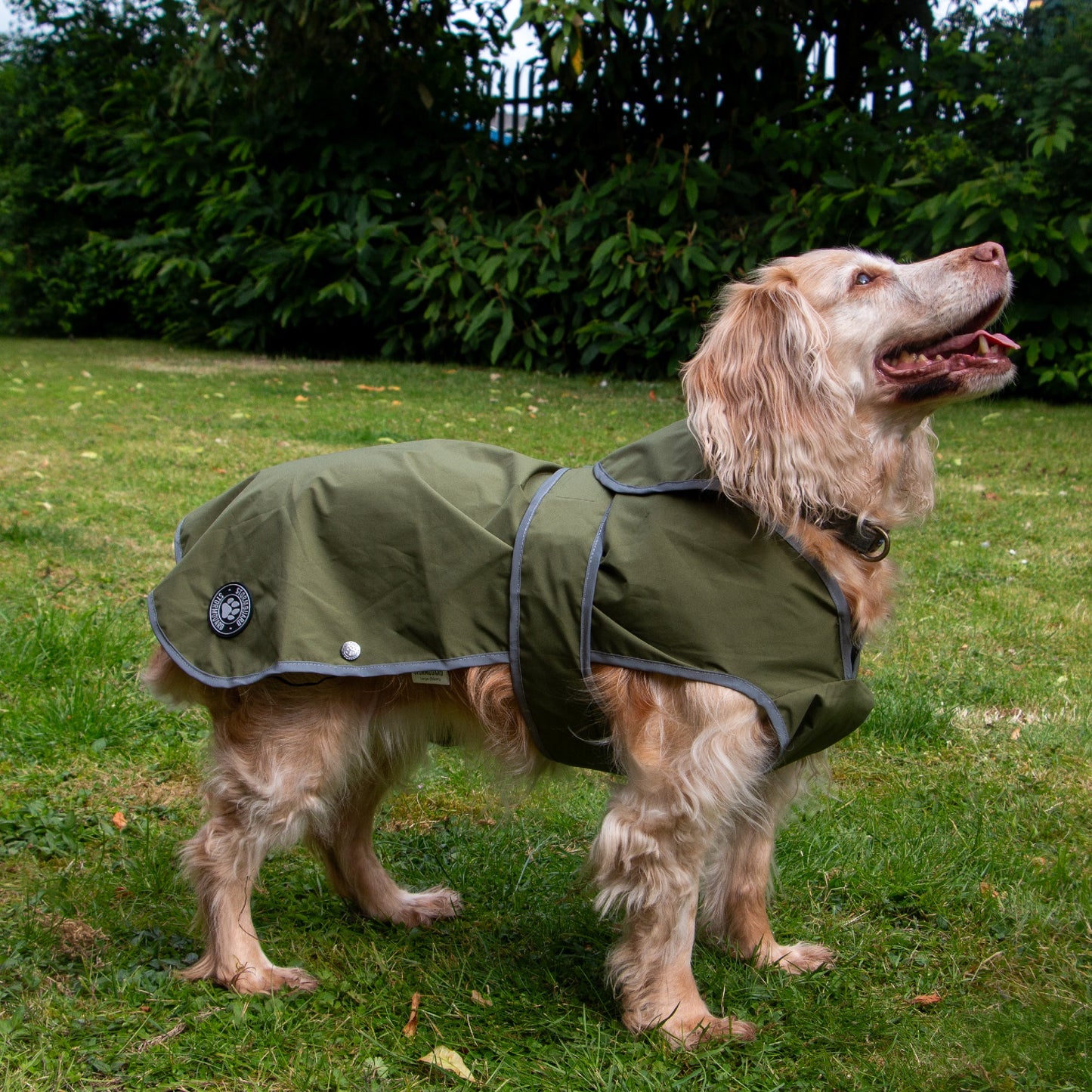 Ancol Stormguard Dog Coat Soft Shell Khaki