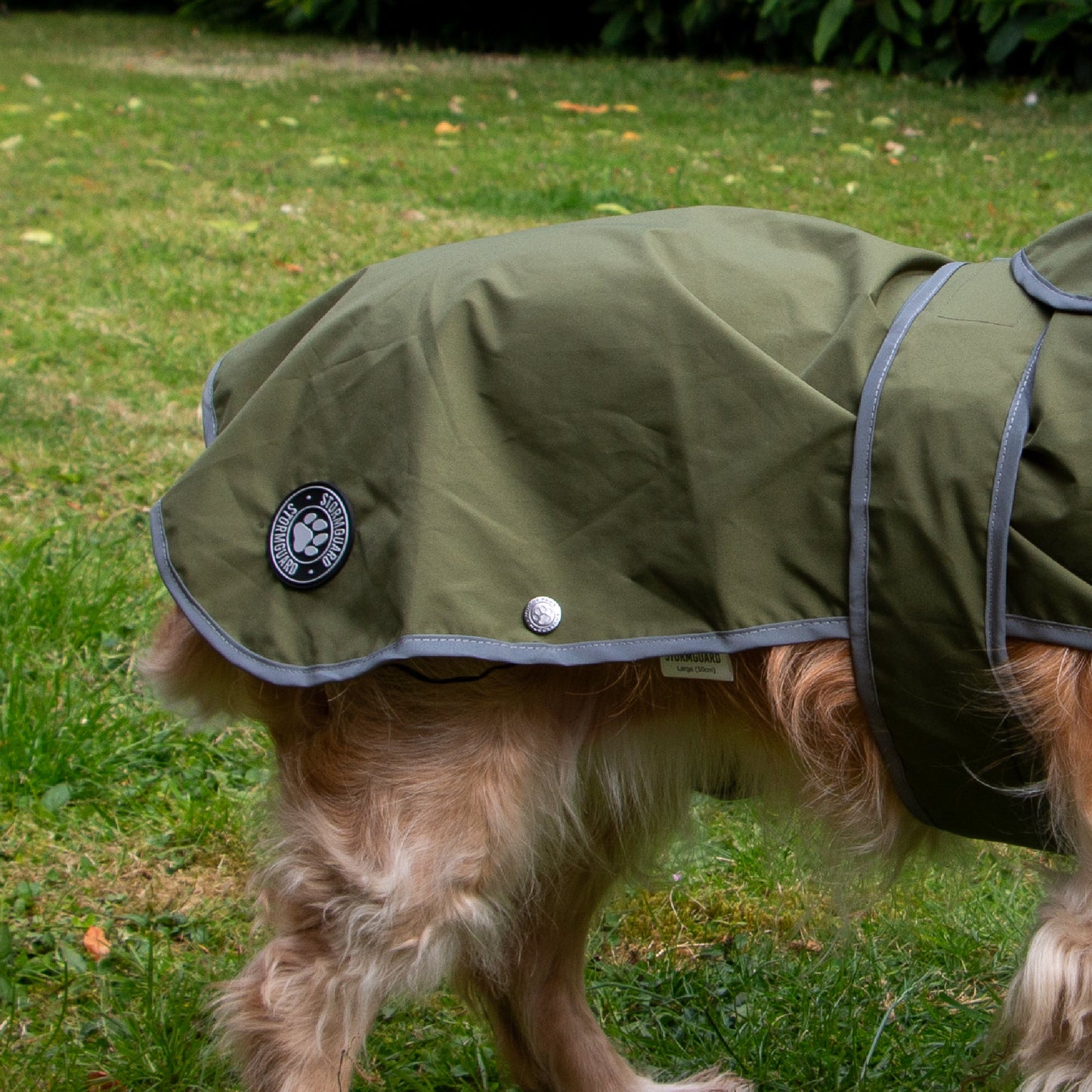 Ancol Stormguard Dog Coat Soft Shell Khaki