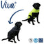 Viva Reversible Coat Black/Hi-Vis