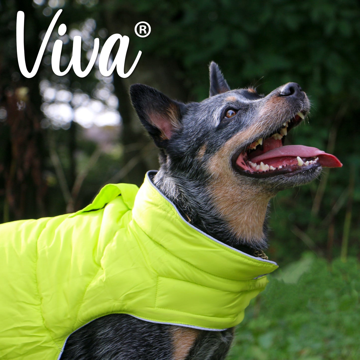 Viva Reversible Coat Black/Hi-Vis