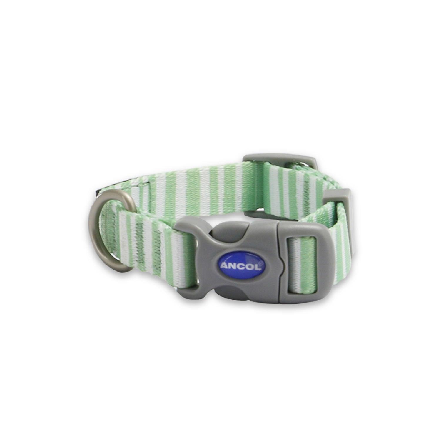 Ancol Soho Pet Collar Stripe 20cm - 30cm - Ormskirk Pets