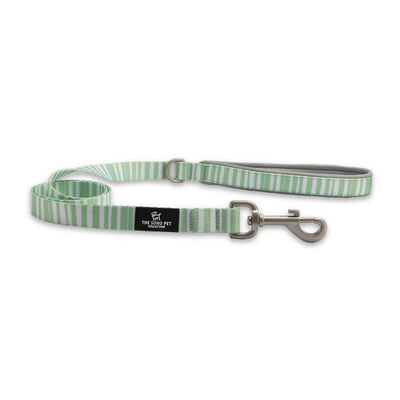 Ancol Soho Pet Lead Stripe 100cmx1.9cm - Ormskirk Pets