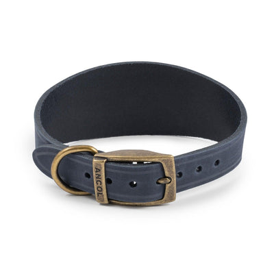 Ancol Timberwolf Hound Collar Blue 30cm - 34cm - Ormskirk Pets