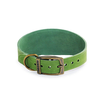 Ancol Timberwolf Hound Collar Green 30cm - 34cm - Ormskirk Pets