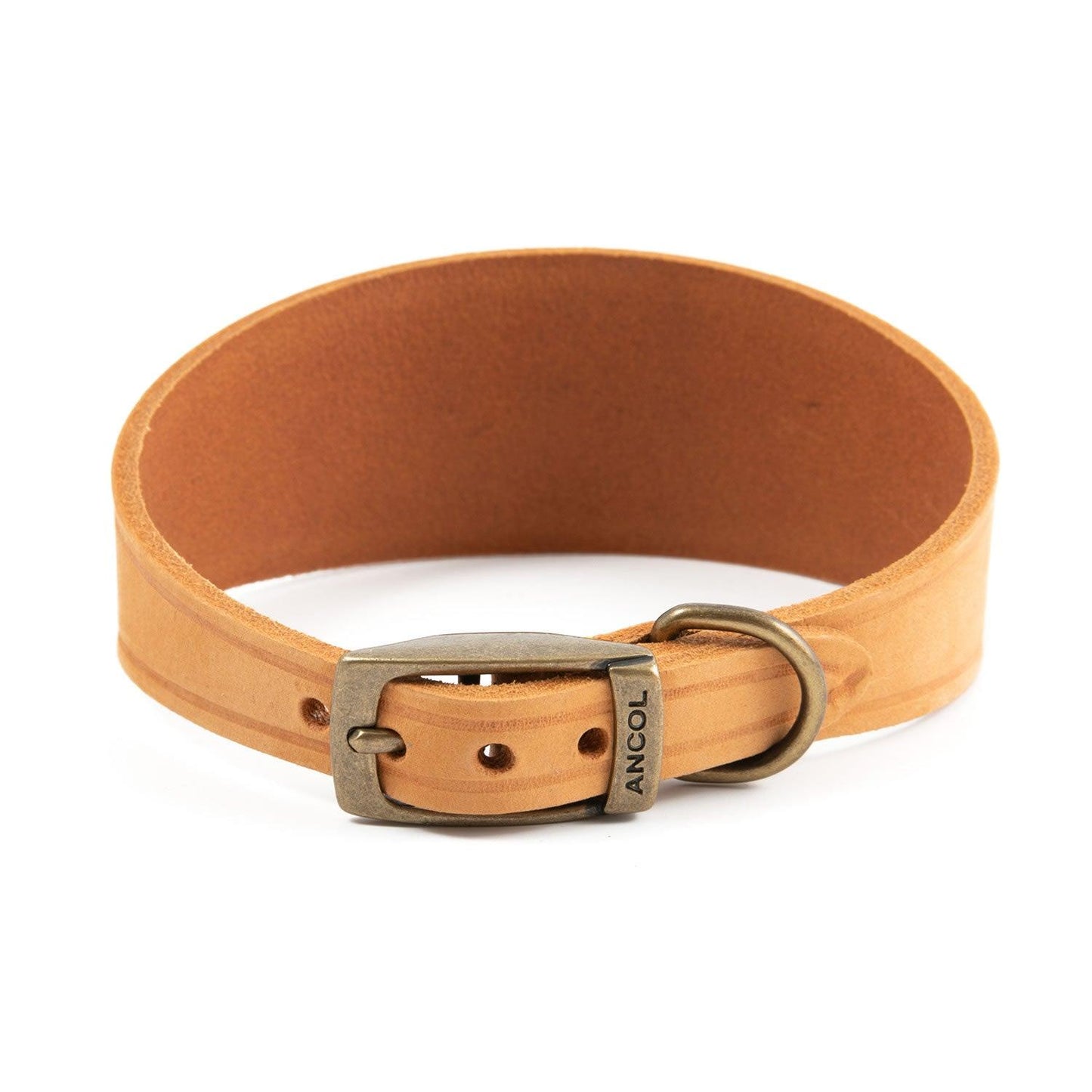 Ancol Timberwolf Hound Collar Mustard 30cm - 34cm - Ormskirk Pets