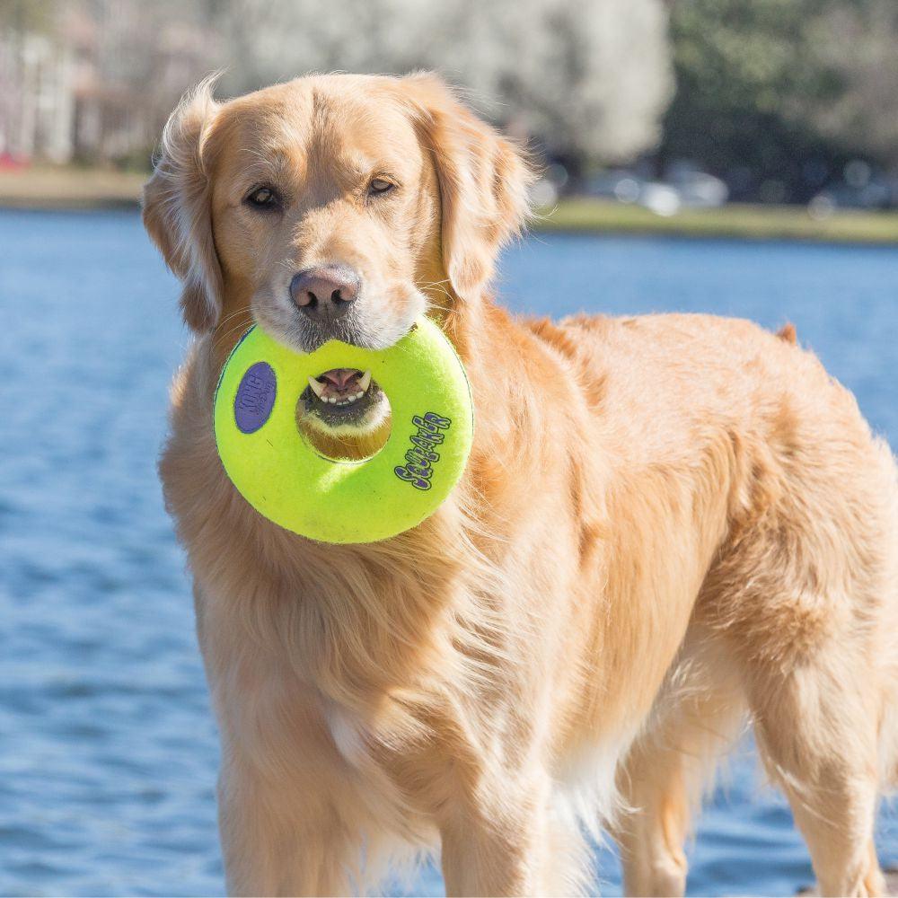 KONG AirDog Donut - Ormskirk Pets