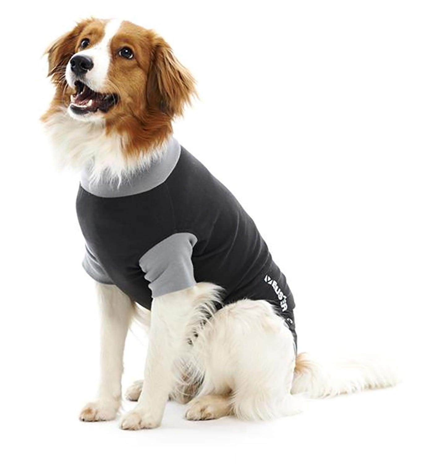 Buster Body Suit For Dogs Black/Grey Small - Ormskirk Pets