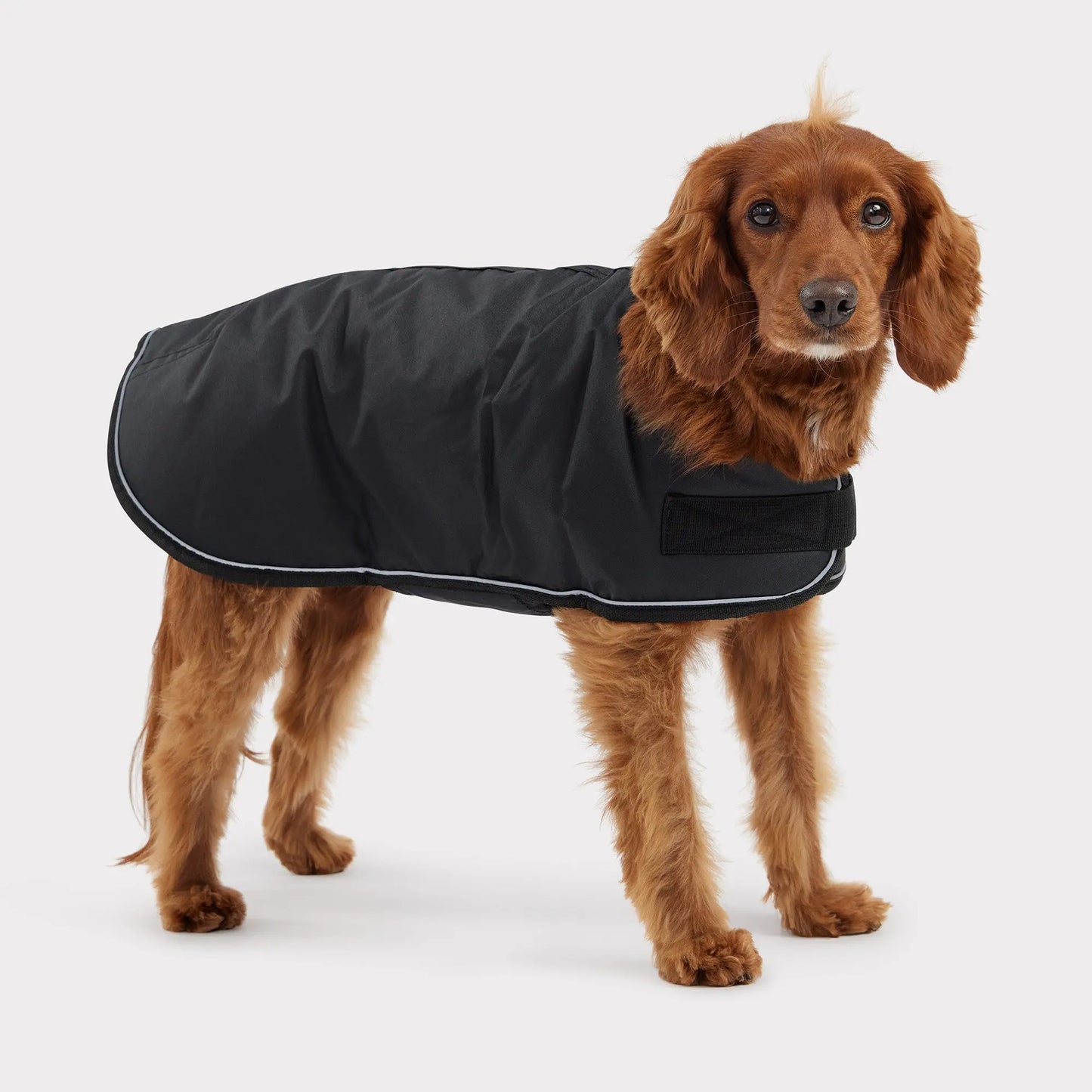 GF Pet Blanket Dog Jacket Black