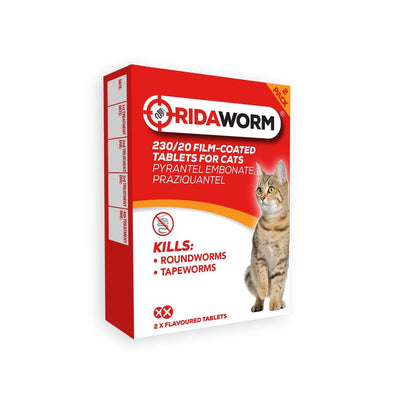 Chanelle Ridaworm Cat Tablets 2 Tablets - Ormskirk Pets