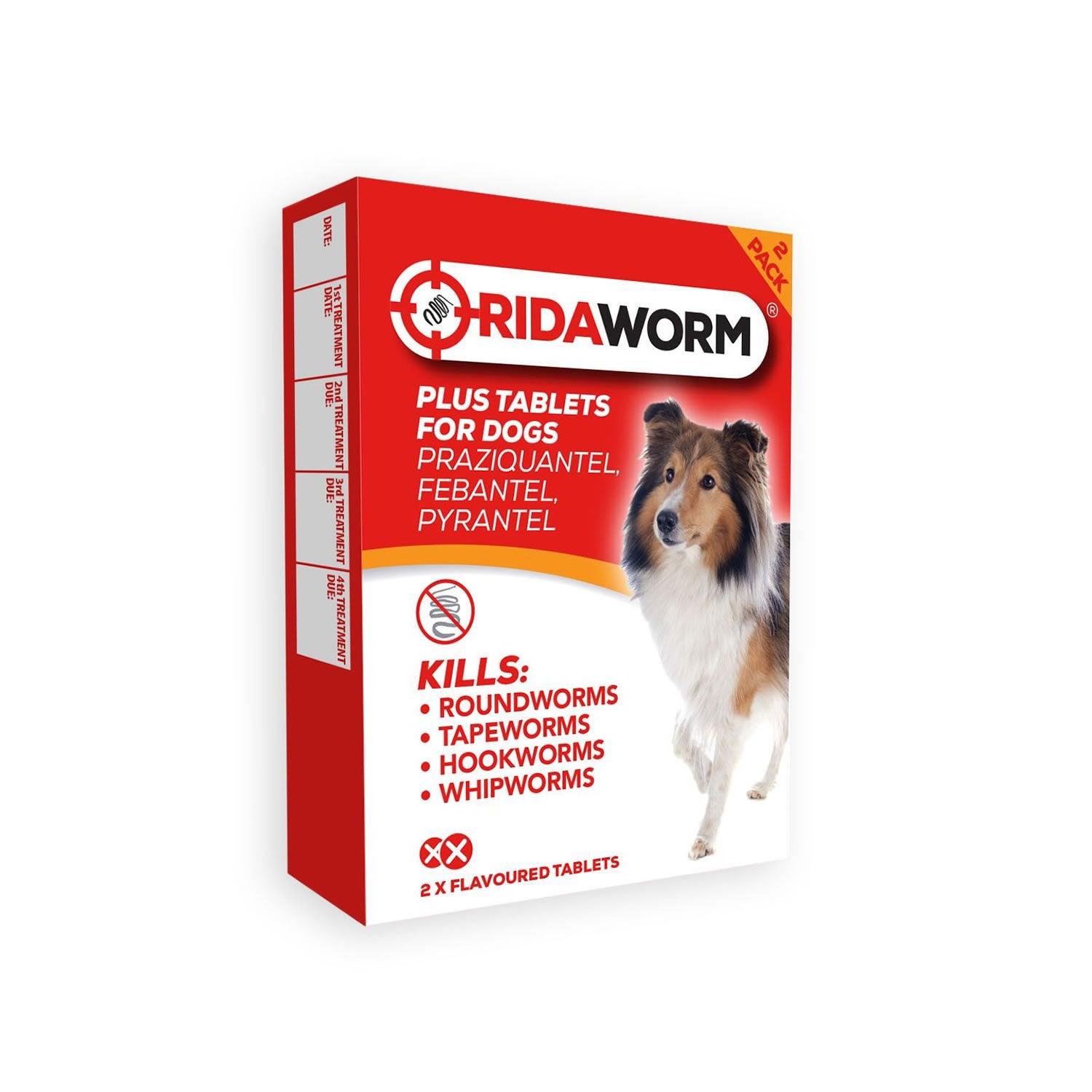 Chanelle Ridaworm Dog Tablets 2 Tablets - Ormskirk Pets