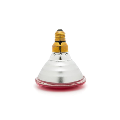 CURALUX INFRARED PAR 38 240V BULB 176 WATT RED