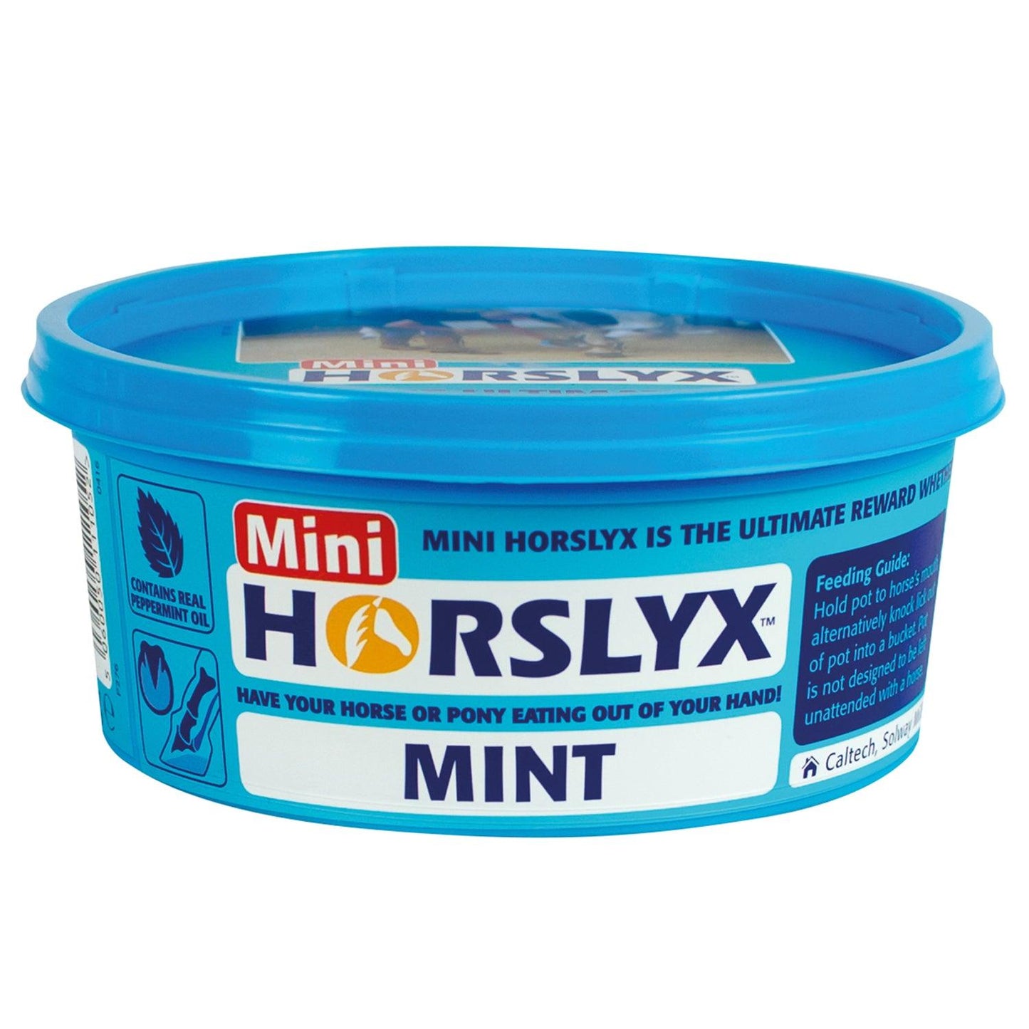 Horslyx Mini Licks Mint X 12 Pack - Ormskirk Pets