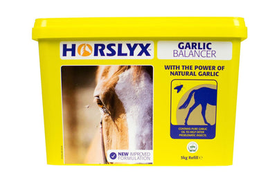 Horslyx Balancer Lick 5Kg Garlic - Ormskirk Pets