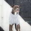 GF Pet Chalet Sweater Grey Mix