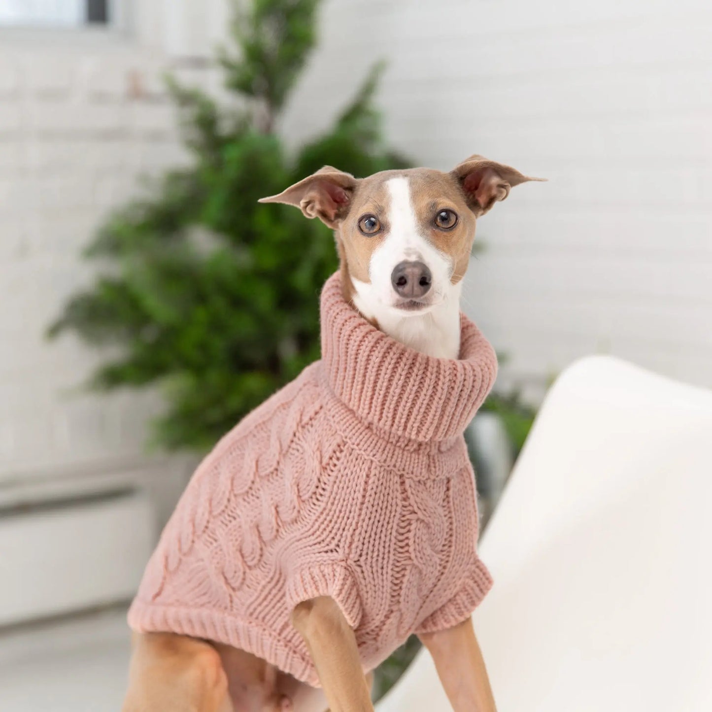 GF Pet Chalet Sweater Pink