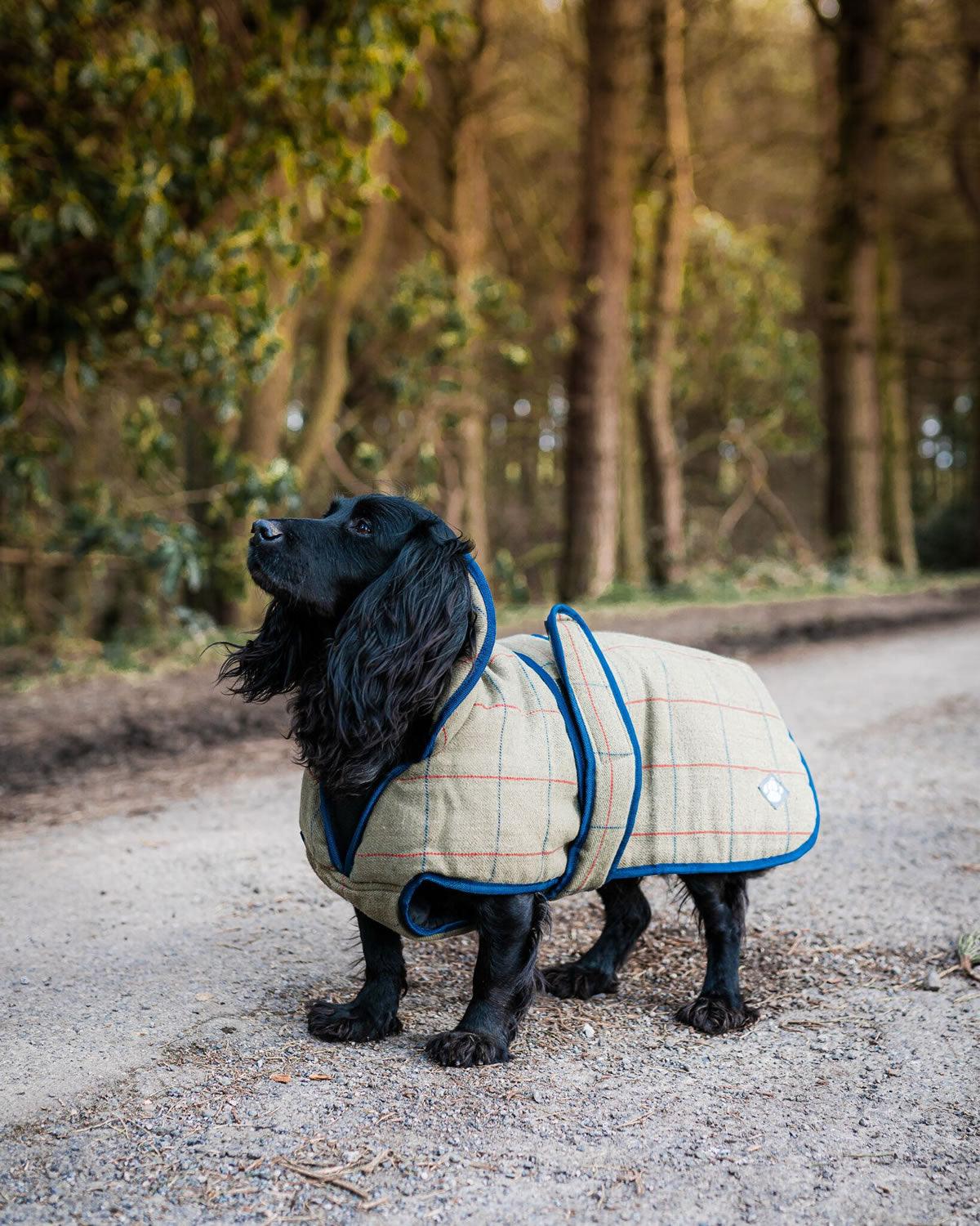 Danish Design Tweed Dog Coat 25 Cm (10") Green - Ormskirk Pets