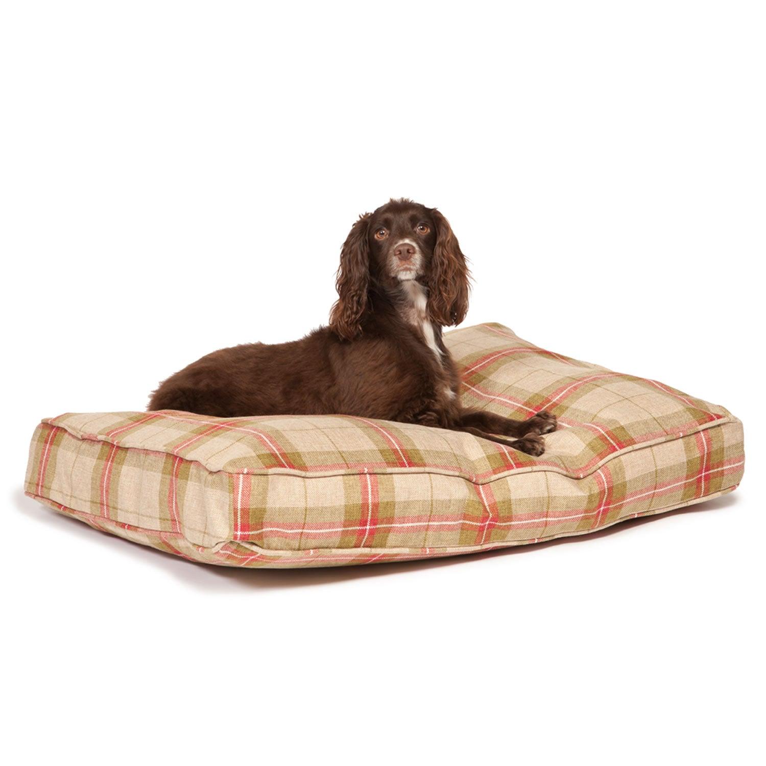 Danish Design Newton Box Bed Medium Moss - Ormskirk Pets