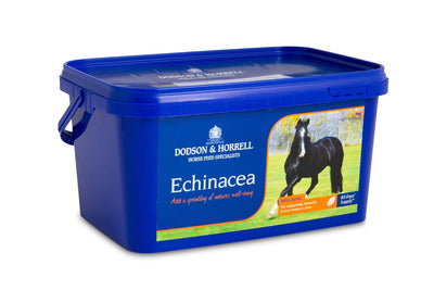 Dodson & Horrell Echinacea 1Kg - Ormskirk Pets