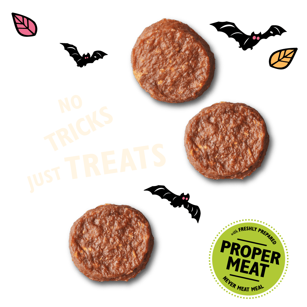 Lily's Kitchen Halloween Dog Beef Mini Burgers 70g