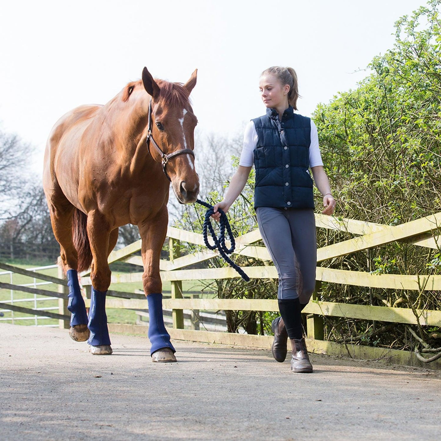 Equilibrium Equi-Chaps Hardy Chaps Small Blue - Ormskirk Pets