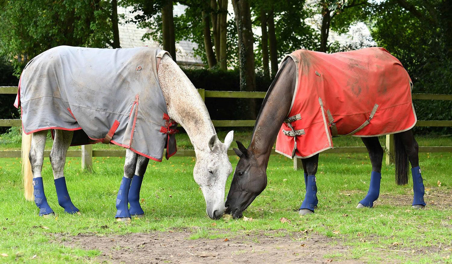 Equilibrium Equi-Chaps Hardy Chaps Wide Medium Blue - Ormskirk Pets