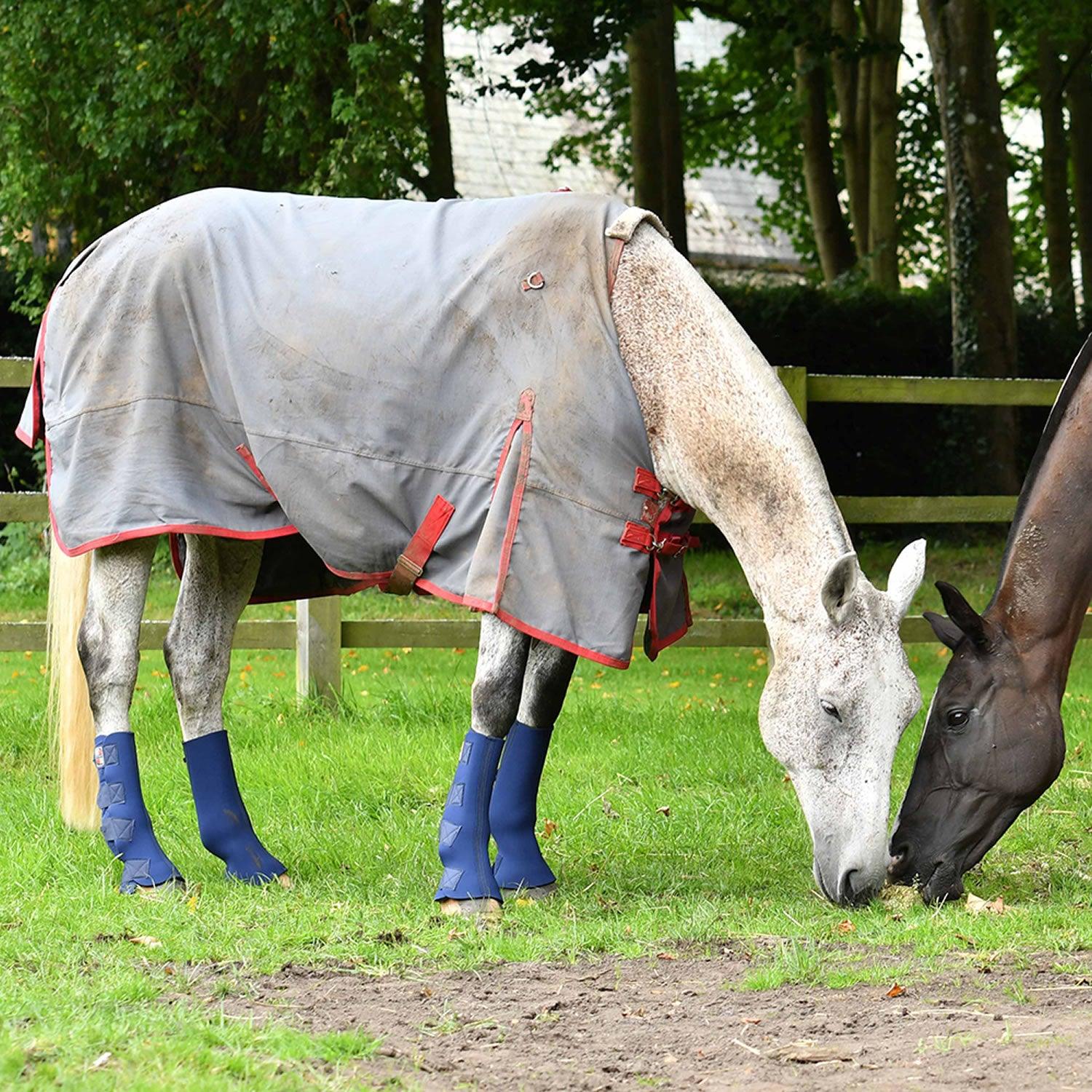 Equilibrium Equi-Chaps Hardy Chaps Large Blue - Ormskirk Pets