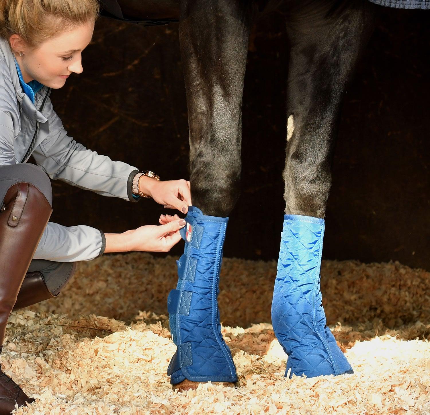 Equilibrium Equi-Chaps Stable Chaps Small Blue - Ormskirk Pets