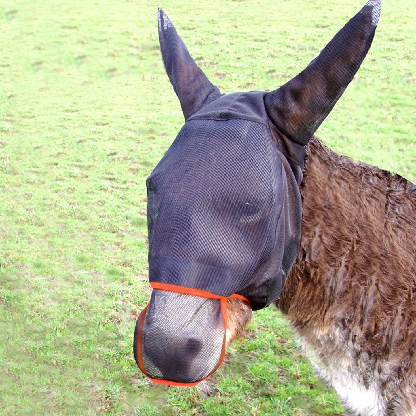 Equilibrium Field Relief Max Fly Mask Donkey Large - Ormskirk Pets