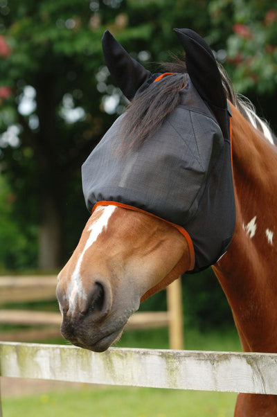 Equilibrium Field Relief Midi Fly Mask & Ears Black/Orange Medium - Ormskirk Pets