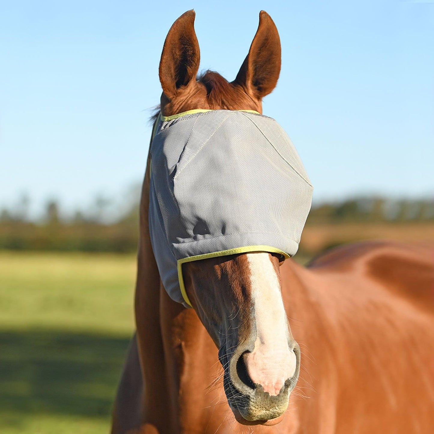 Equilibrium Field Relief Midi Fly Mask No Ears Grey/Yellow Xsmall - Ormskirk Pets