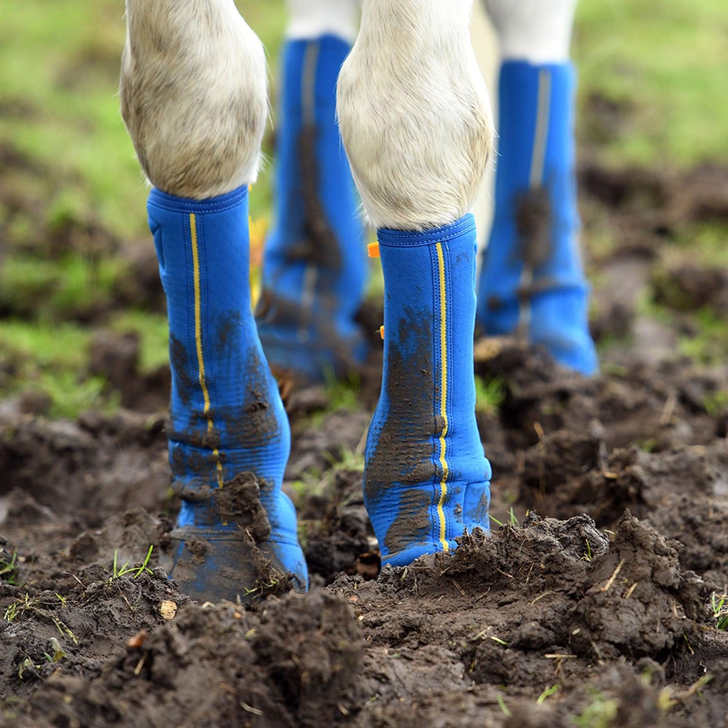 Equilibrium Equi-Chaps Close Contact Chaps Navy Small - Ormskirk Pets