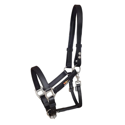 Equilibrium Stellar Headcollar Black Xsmall - Ormskirk Pets