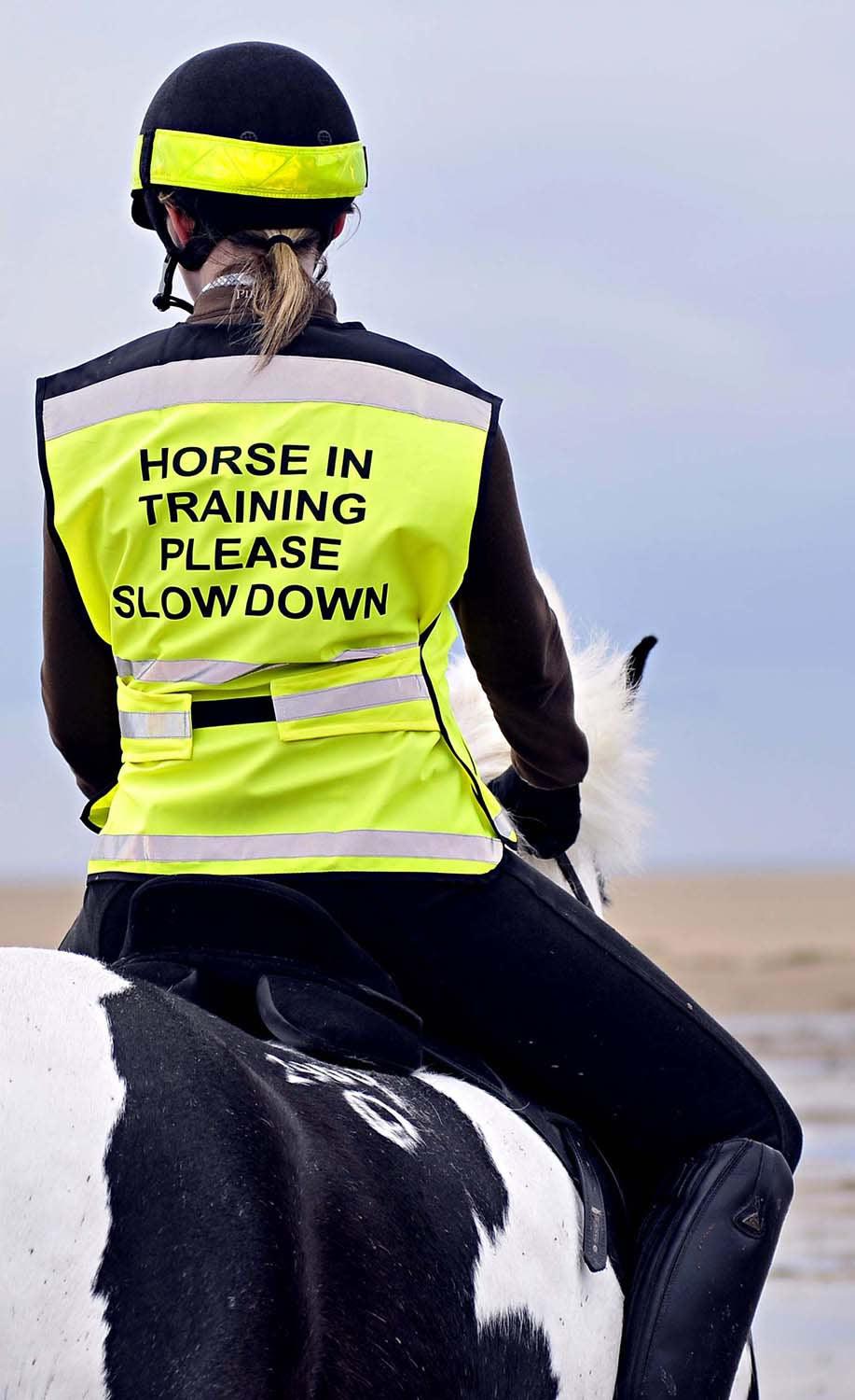 EQUISAFETY AIR WAISTCOAT HORSE IN TRAINING PLEASE SLOW DOWN MEDIUM YELLOW - Ormskirk Pets