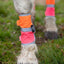 EQUISAFETY LEG BOOTS PINK/ORANGE - Ormskirk Pets