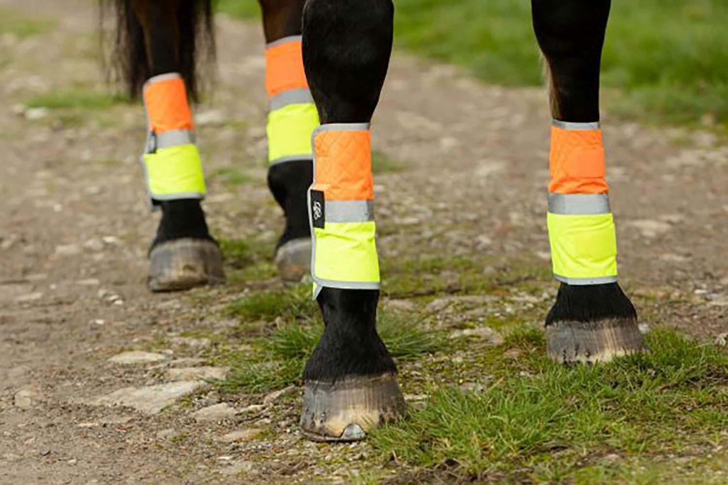 EQUISAFETY LEG BOOTS YELLOW/ORANGE - Ormskirk Pets