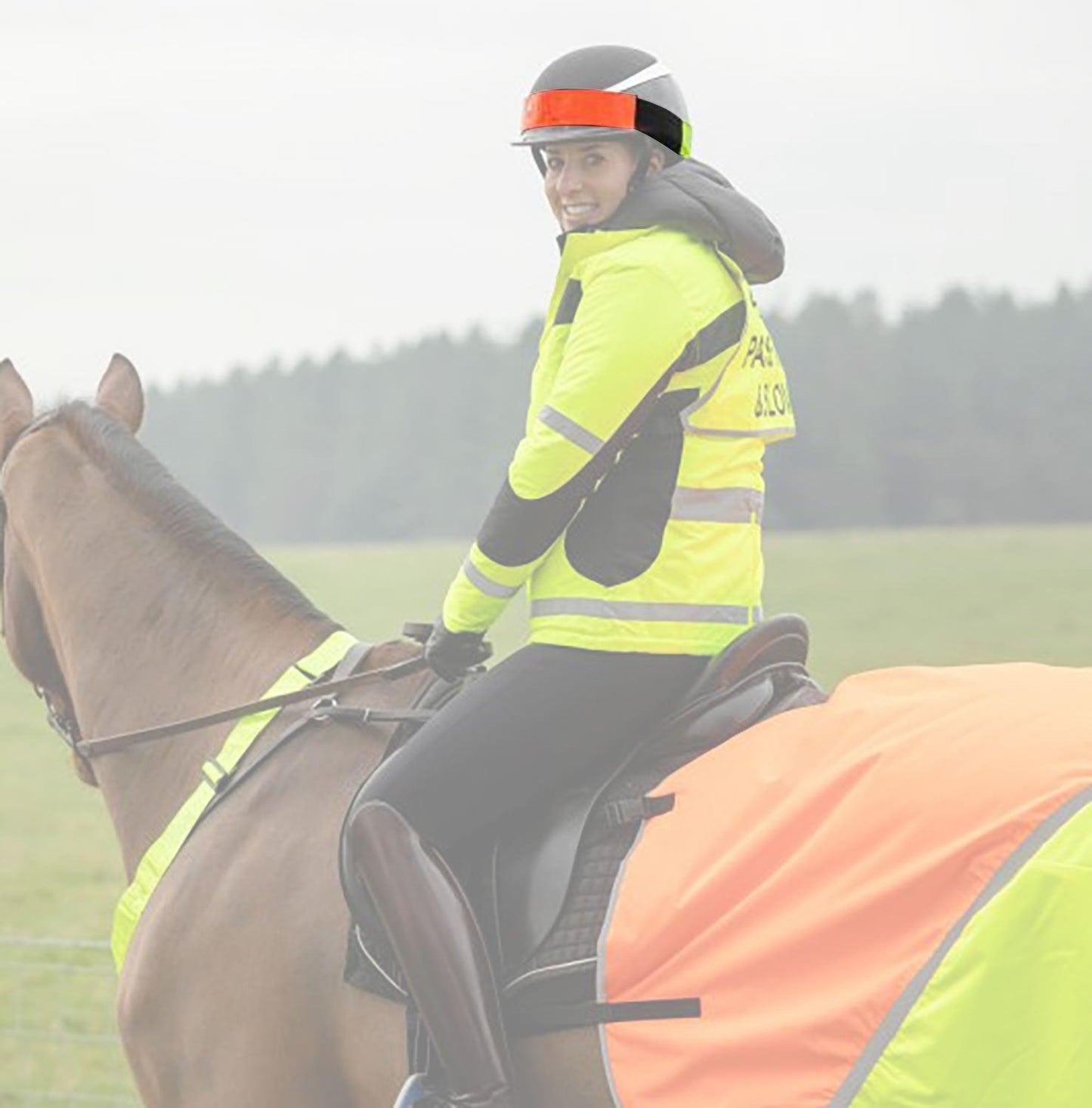 EQUISAFETY MULTI-COLOURED HATBAND - Ormskirk Pets