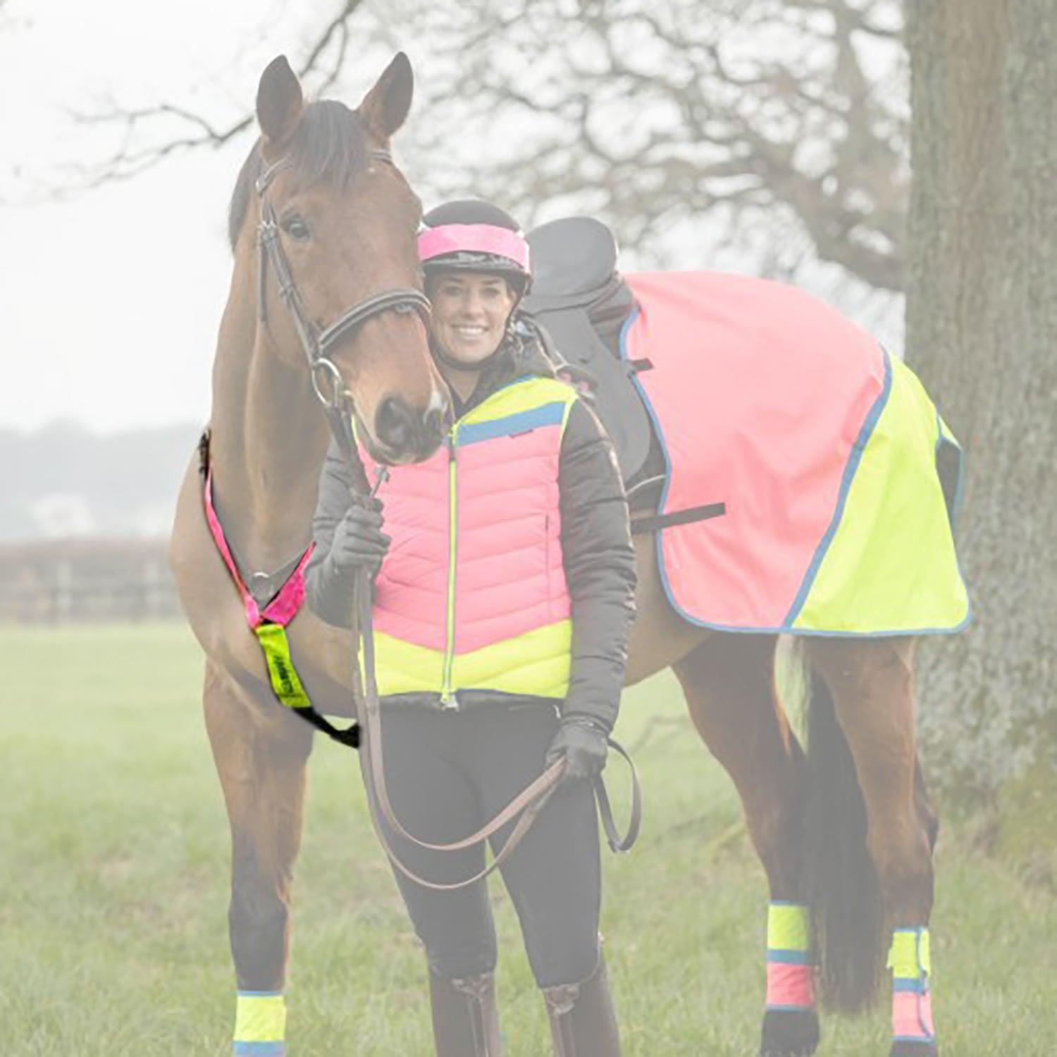 EQUISAFETY MULTI-COLOURED NECKBAND - Ormskirk Pets