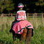 EQUISAFETY AIR WAISTCOAT PLEASE PASS WIDE & SLOWLY PINK - Ormskirk Pets