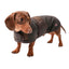 FIREFOOT WAXED DACHSHUND COAT - Ormskirk Pets