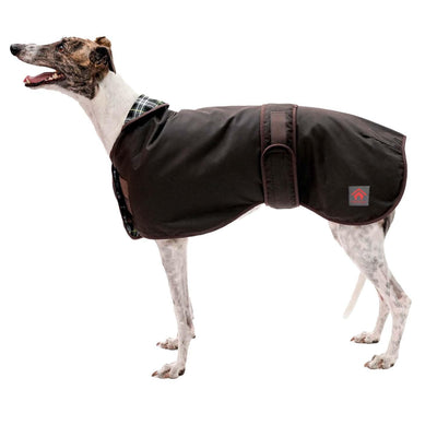 FIREFOOT WAXED SIGHTHOUND COAT - Ormskirk Pets