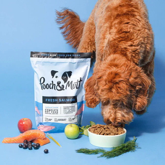 Pooch & Mutt SINGLE PROTEIN FRESH SALMON DRY FOOD  Dry Dog Food